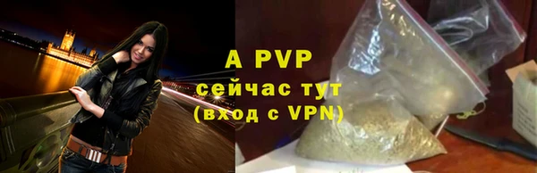 ешки Алексин