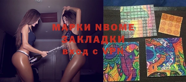 ешки Алексин