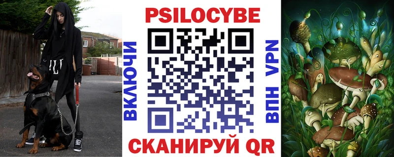 Галлюциногенные грибы Cubensis  Купить закладки  Андреаполь 